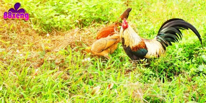 Người chơi có vai trò quan trọng trong việc phát hiện và báo cáo vi phạm